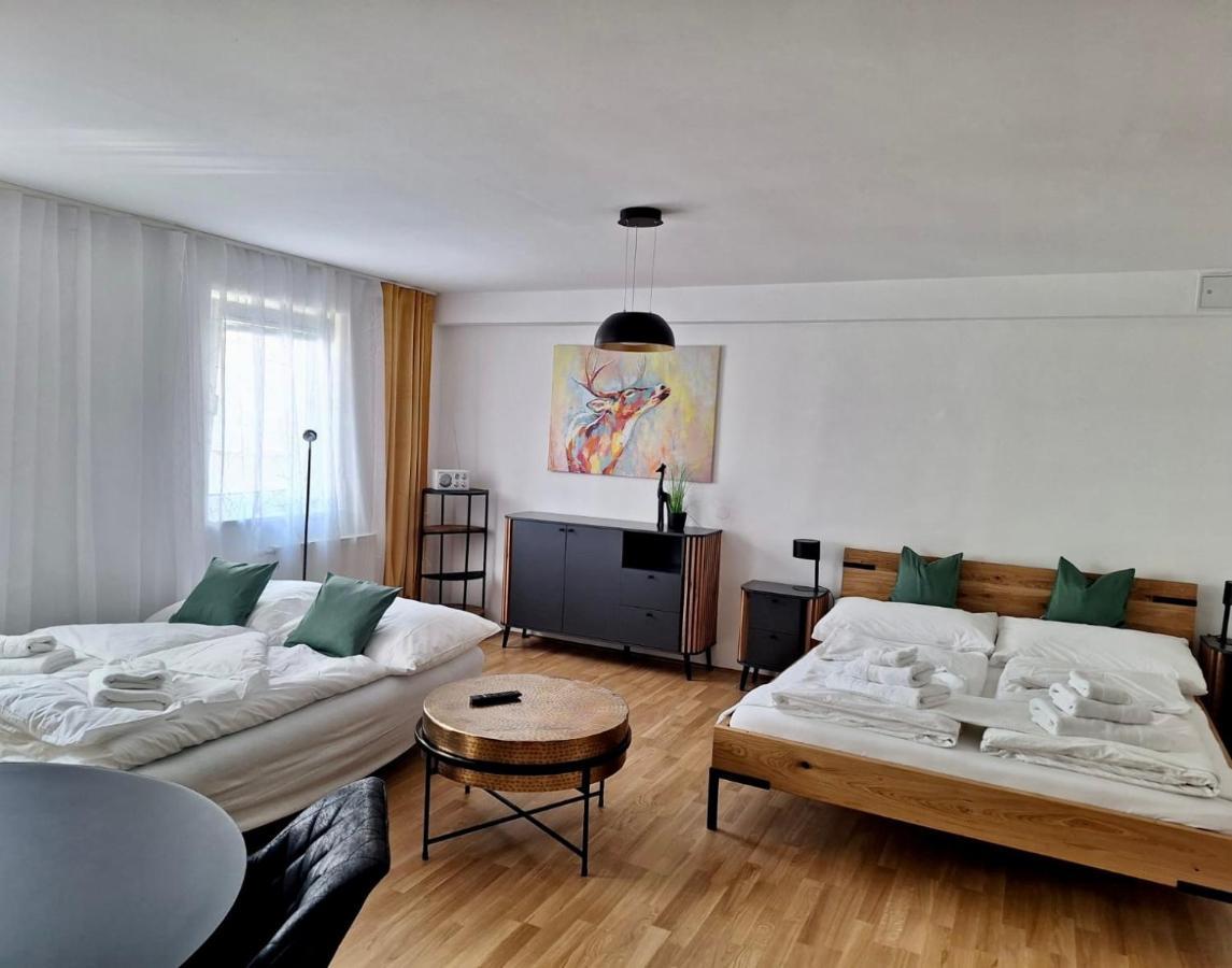 Air-conditioned, Quiet With A Terrace In Center Of St Poelten - Smart Tv Apartament St. Pölten